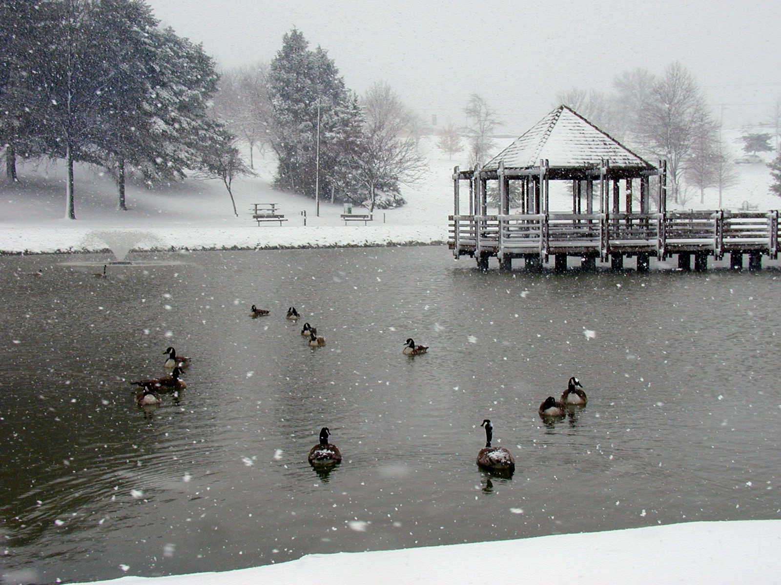 Ballwin, MO
