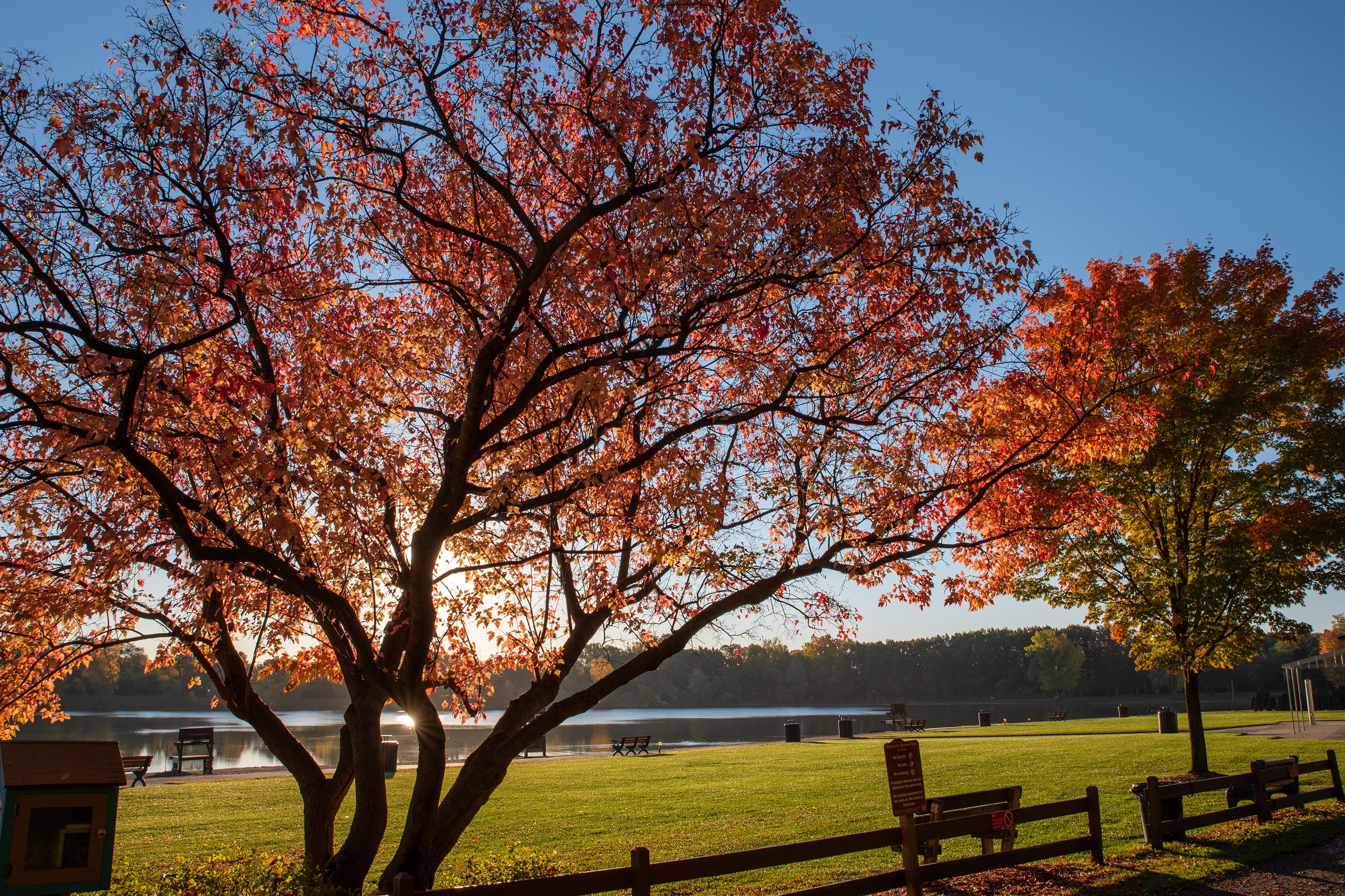 Rochester Hills, MI